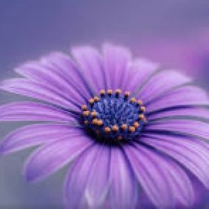 Meet your Posher, Claire